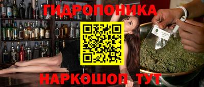 гидра Дубна