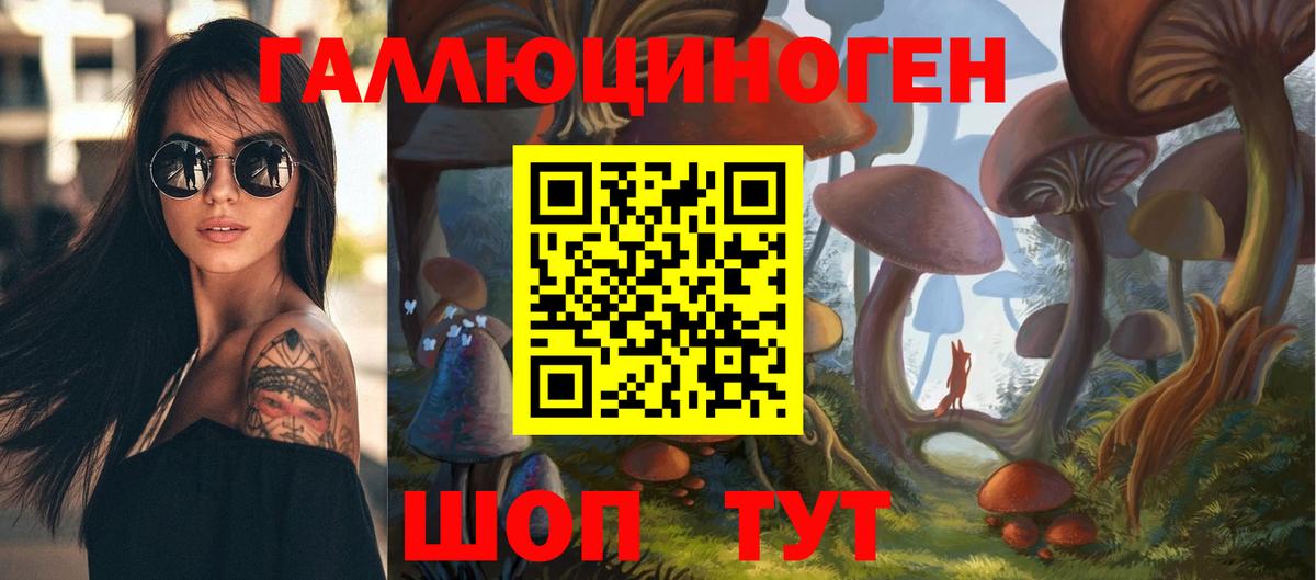 Галлюциногенные грибы мухоморы  Галлюциногенные грибы прущие грибы  Вход с VPN  Лыткарино 